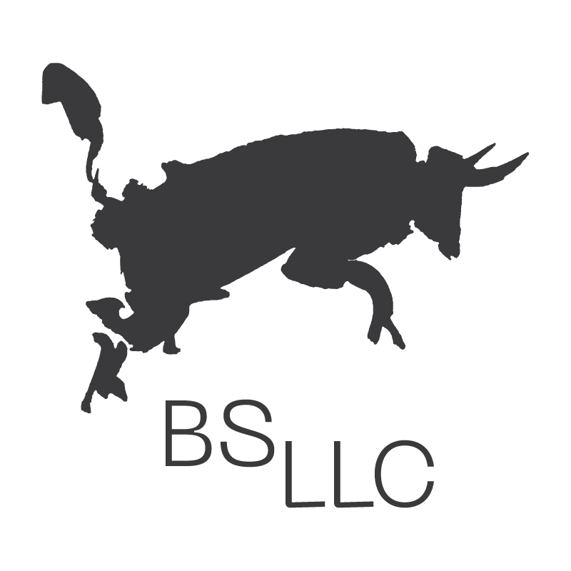 BS LLC • Strategy, Branding, Marketing
